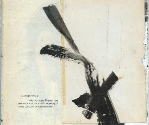 MAR DAINES (2020)(1)